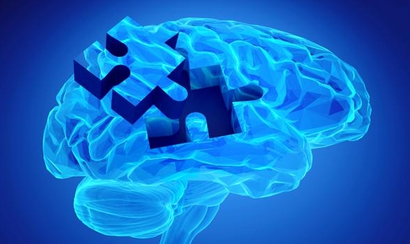 IM IMPORT & EXPORT Sistemas inteligentes de negocios